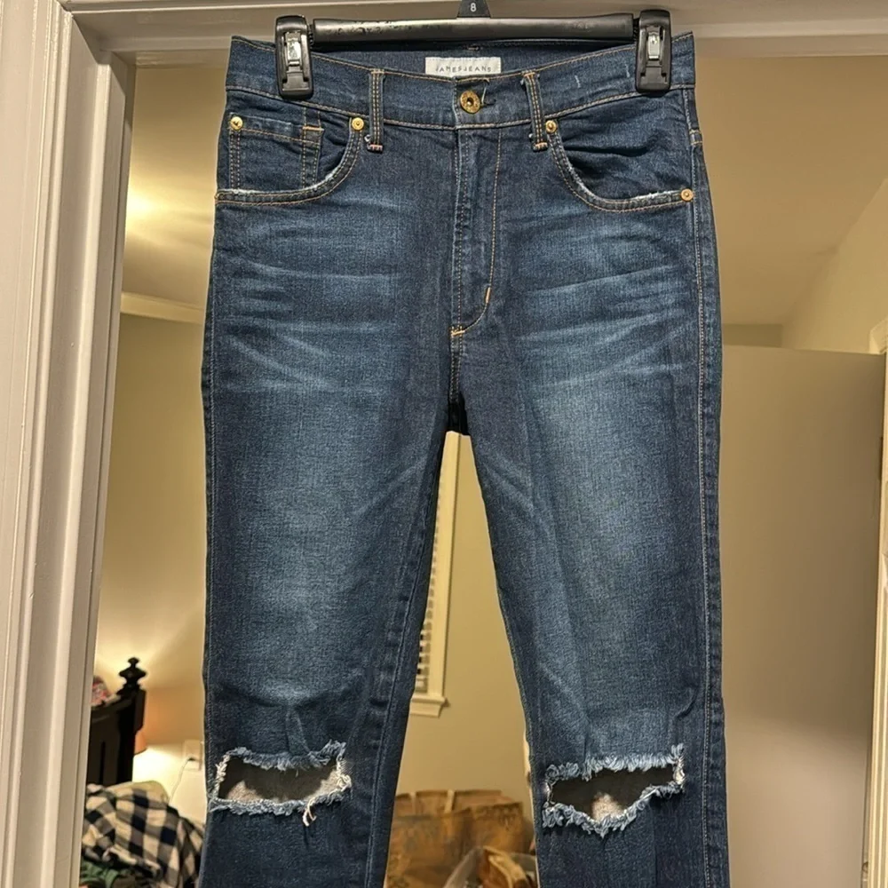 James Jeans high class skinny ankle jeans size 26 in Maverick